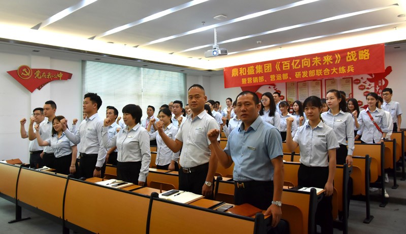鼎和盛集团《百亿向未来》战略