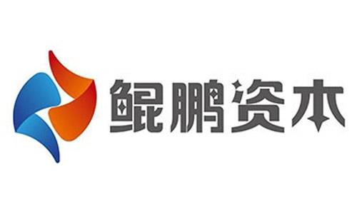 鲲鹏资本